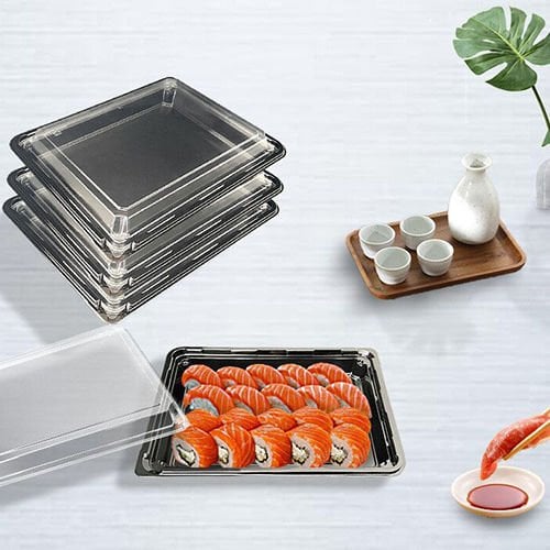 Plastik Sushi Kabı